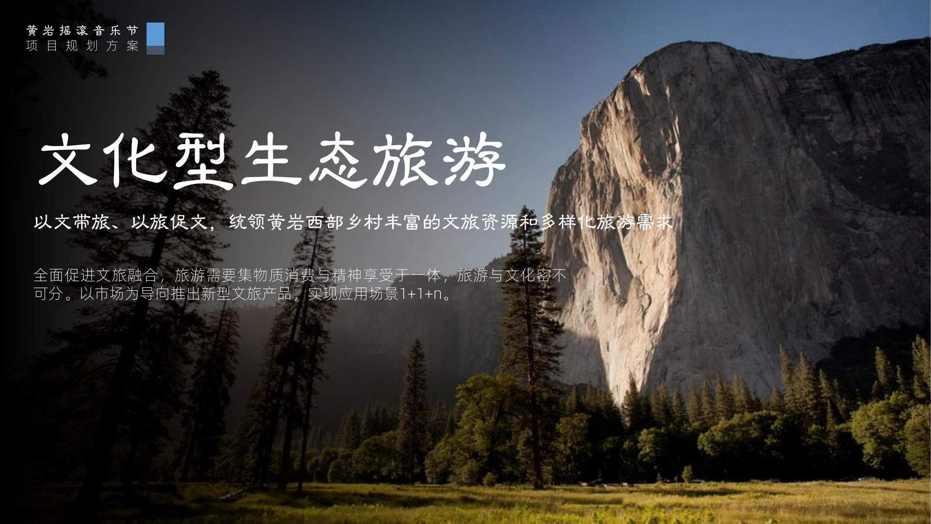 汇洋影视承办国家级文化产业发展座谈会